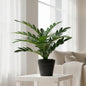 INDOOR ARTIFICIAL POTTED LEATHER FERN LEAF PLANT