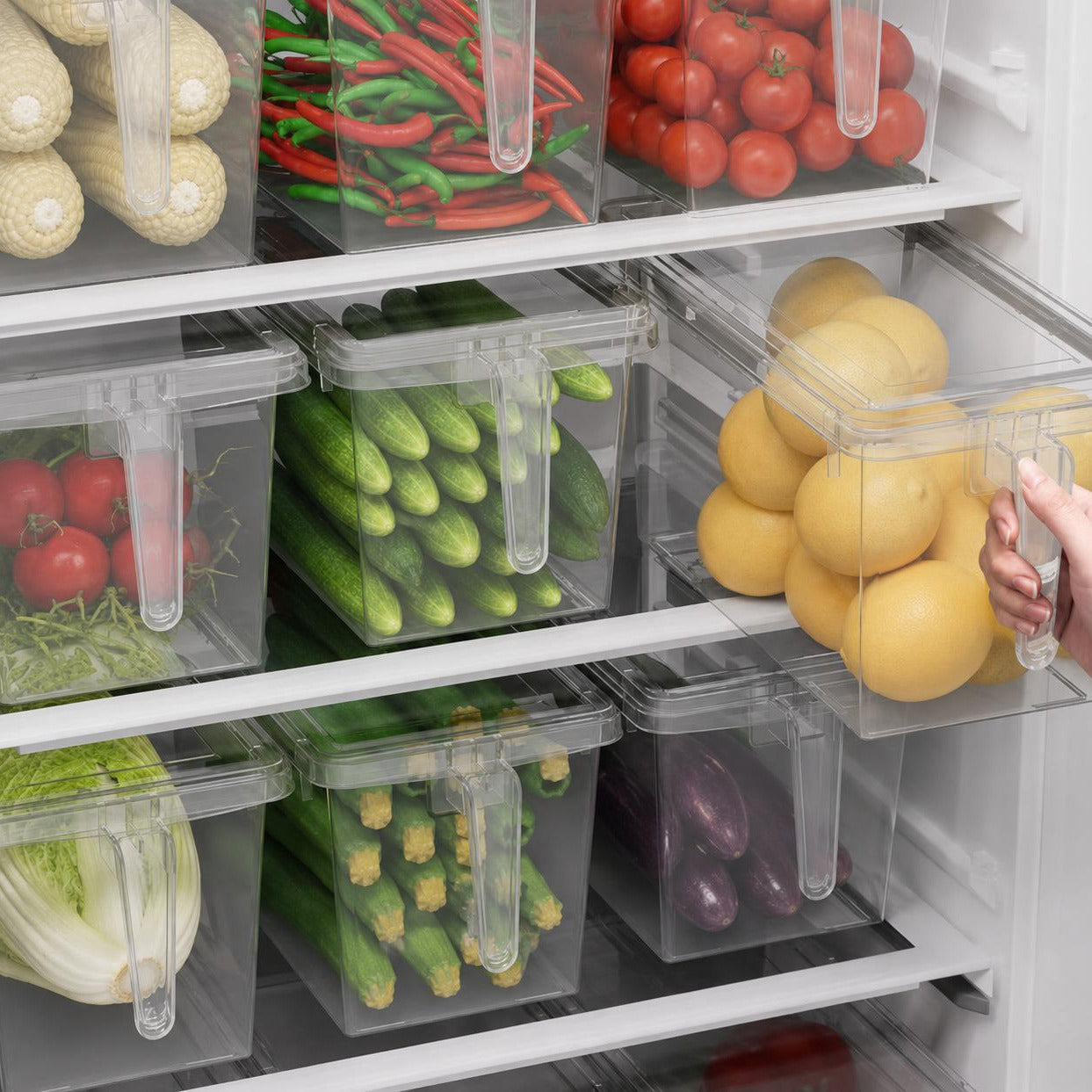 ACRYLIC FRIDGE/PANTRY STORAGE CONTAINER W/LID & HANDLE