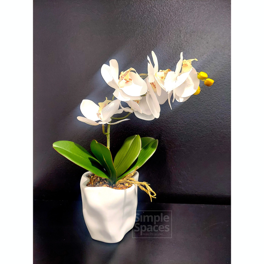 ARTIFICIAL POTTED  ORCHID PLANT AST